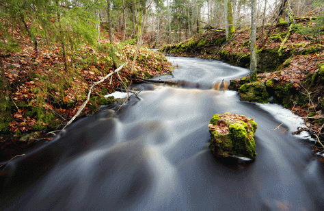 Valley-of-Kalameci---Markuzi-Kalamecu-grava_